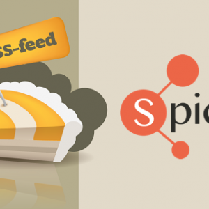 Segui i tuoi canali preferiti: Spidwit diventa anche RSS Feed Reader