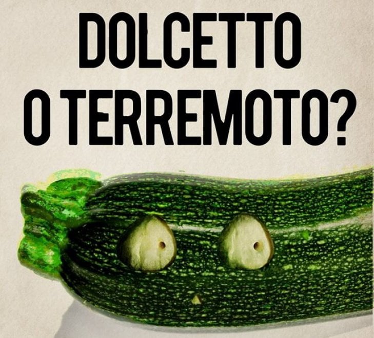 dolcetto-terremoto-piovono-zucchine