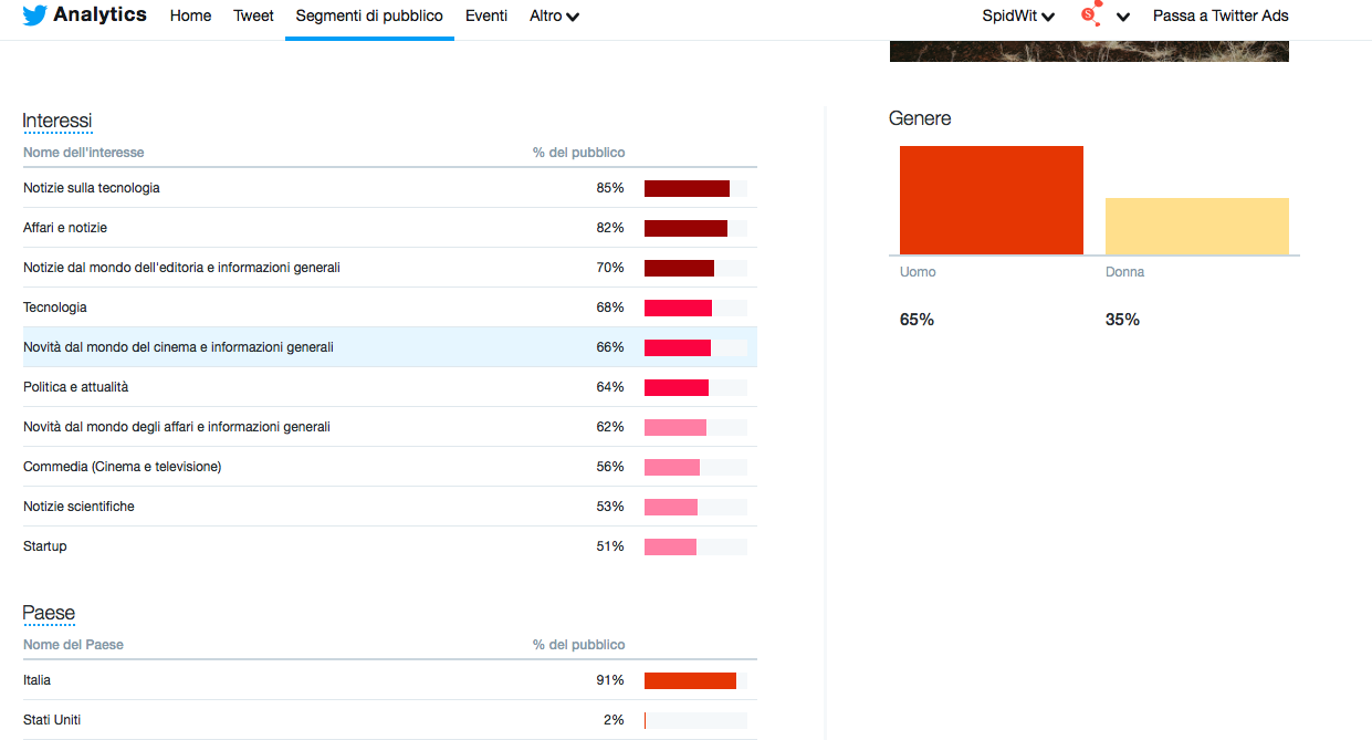Segmenti-Pubblico-Twitter-Analytics