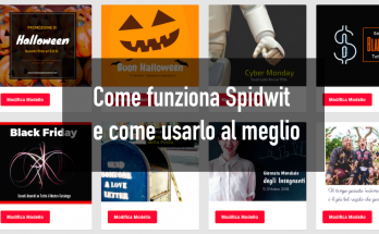 come-funziona-spidwit-come-usarlo